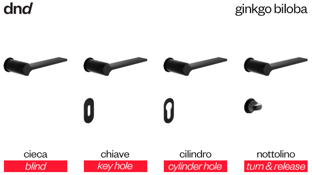 ginkgo-biloba-dnd-handles-versioni